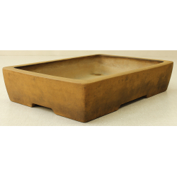 Bonsai pot JTA6531 IZUMI-YA ZENIGO View 2