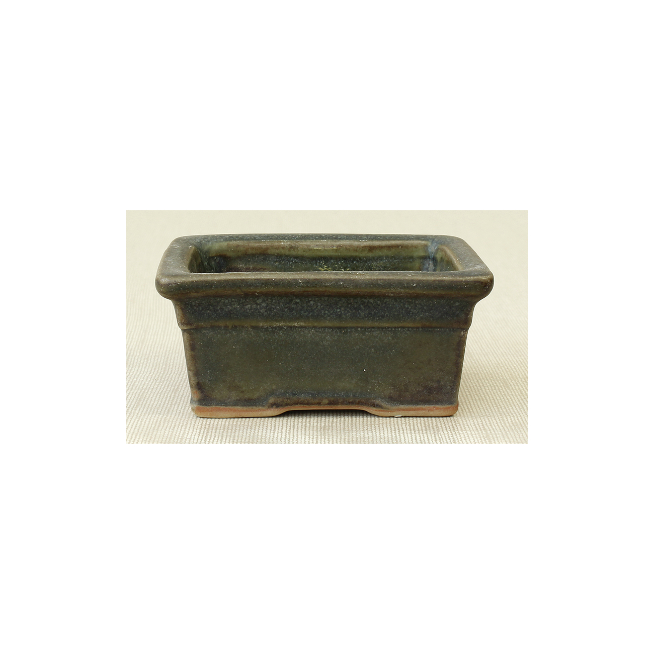 Bonsai pot JTAP676 TOSUI MASAO