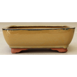 Bonsai pot GAS071-5