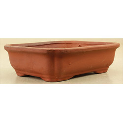 Bonsai pot TAS081-7 View 2