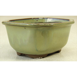 Bonsai pot Y19-18B MIZUTANI View 2