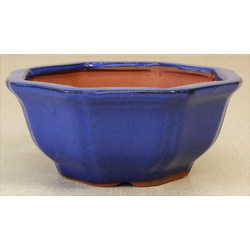 Bonsai pot CHI10BA