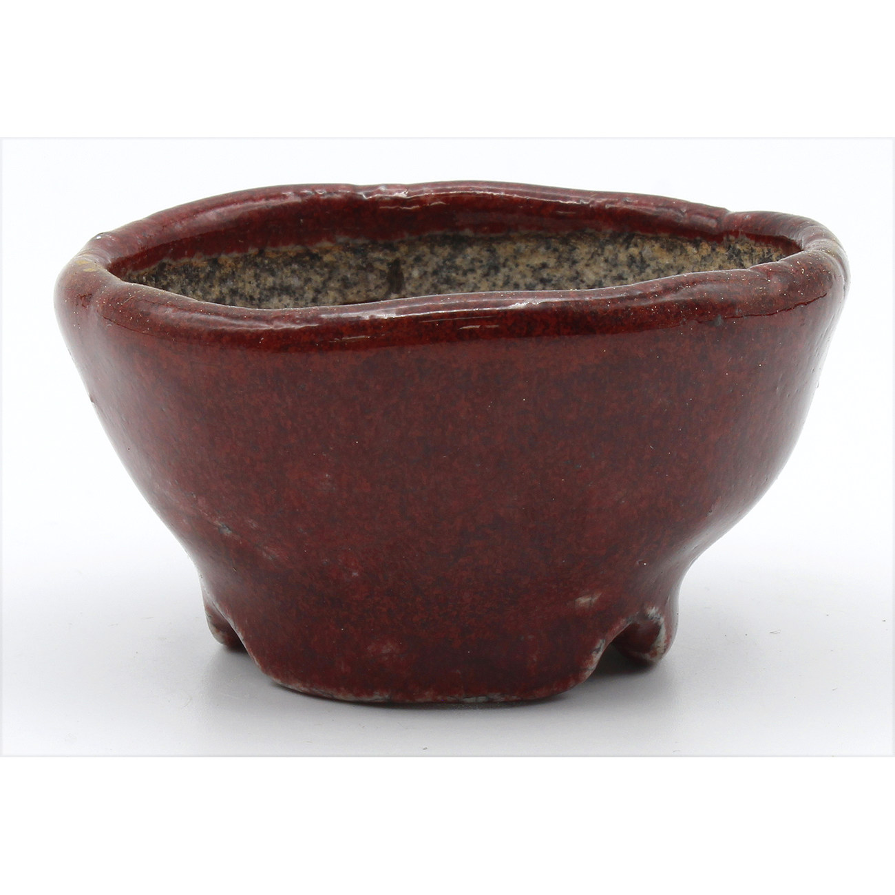 Bonsai pot JTAP1001 BUNZAN ECHIZEN