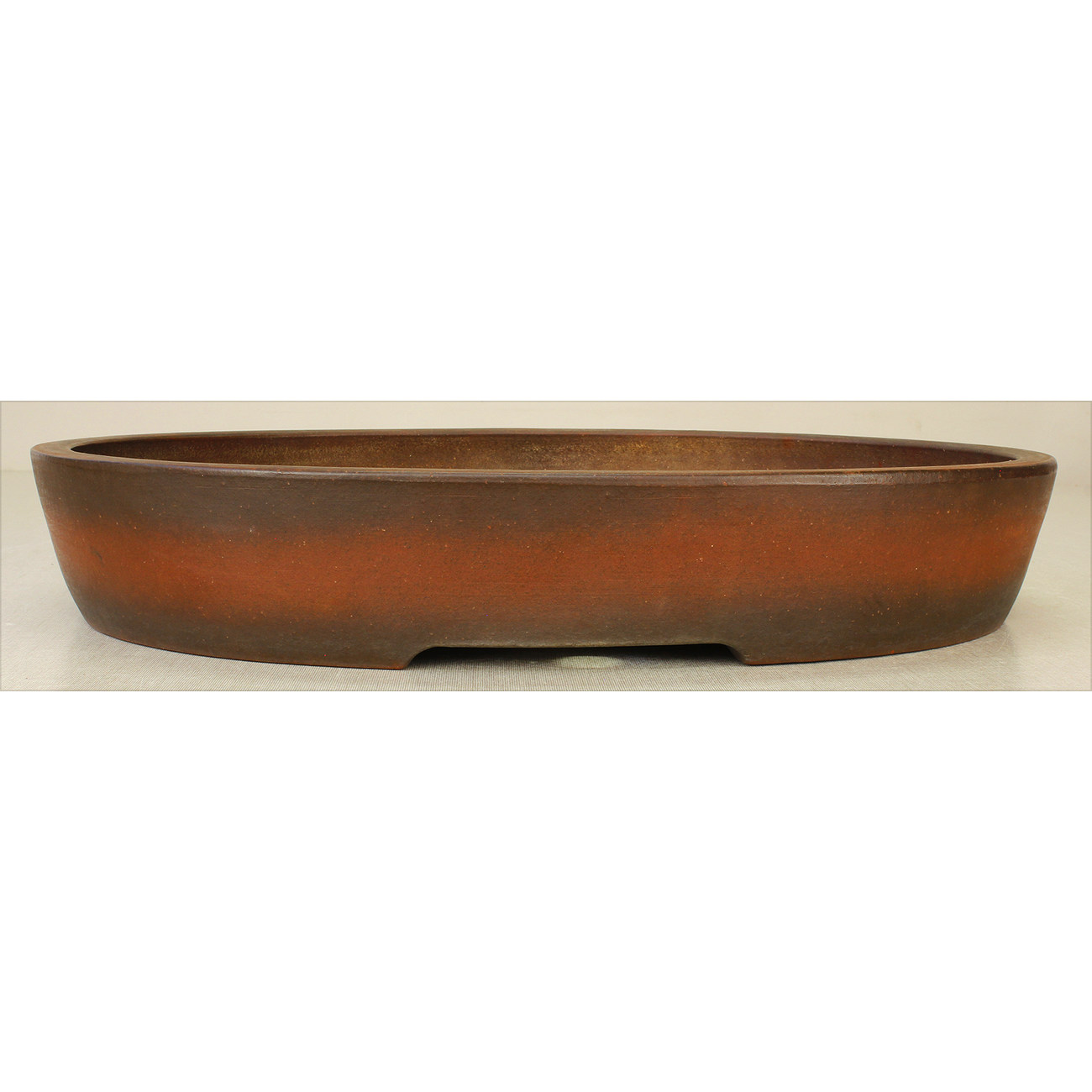 Bonsai pot JTA7365 IZUMI-YA ZENIGO