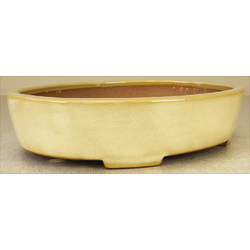 Bonsai pot JTA7397 YAMAFUSA TAKEHIKO View 2