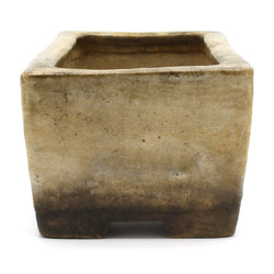 Bonsai pot JTAP1220 TOFUKUJI View 4