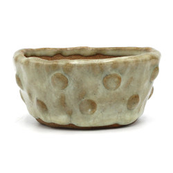 Bonsai pot JTAP1231 SHUHO SETO