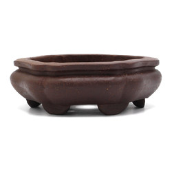 Bonsai pot CCH106