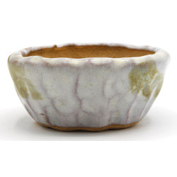 Bonsai pot JTAP1346 SHUHO SETO View 3