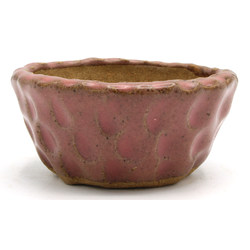 Bonsai pot JTAP1350 SHUHO SETO View 2