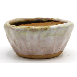 Bonsai pot JTAP1355 SHUHO SETO View 3