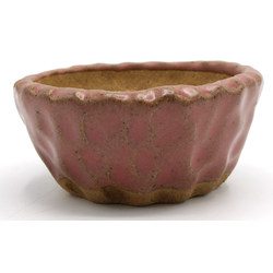 Bonsai pot JTAP1358 SHUHO SETO View 2