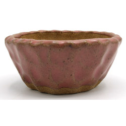 Bonsai pot JTAP1358 SHUHO SETO View 3