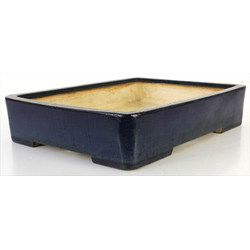 Bonsai pot JTA7859 HARUMATSU RYOKUMISAI View 2