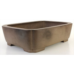 Bonsai pot JTA7853 KEIZAN View 2