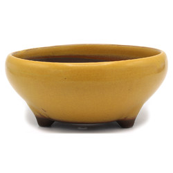 Bonsai pot YOKN007C