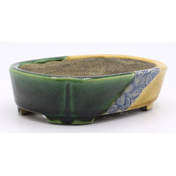 Bonsai pot TER472 TERAHATA SATOMI View 2