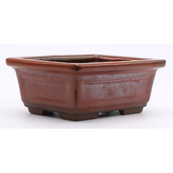 Bonsai pot YOKN040R View 2