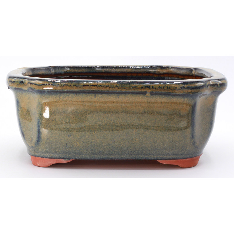 bonsai pot GAS071-10 rectangular green frontal view