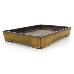 Bonsai pot JTA7916 TOSUI MASAO view 2