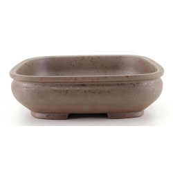 Bonsai pot CCH422 SHIWAN XENJI view 2