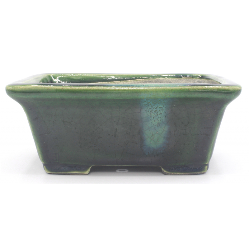 Bonsai pot TER520B TERAHATA SATOMI vista 1