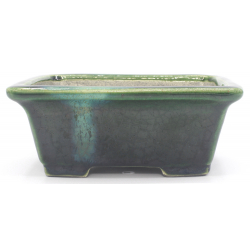 Bonsai pot TER520B TERAHATA SATOMI vista 2