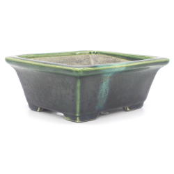 Bonsai pot TER520B TERAHATA SATOMI vista 3