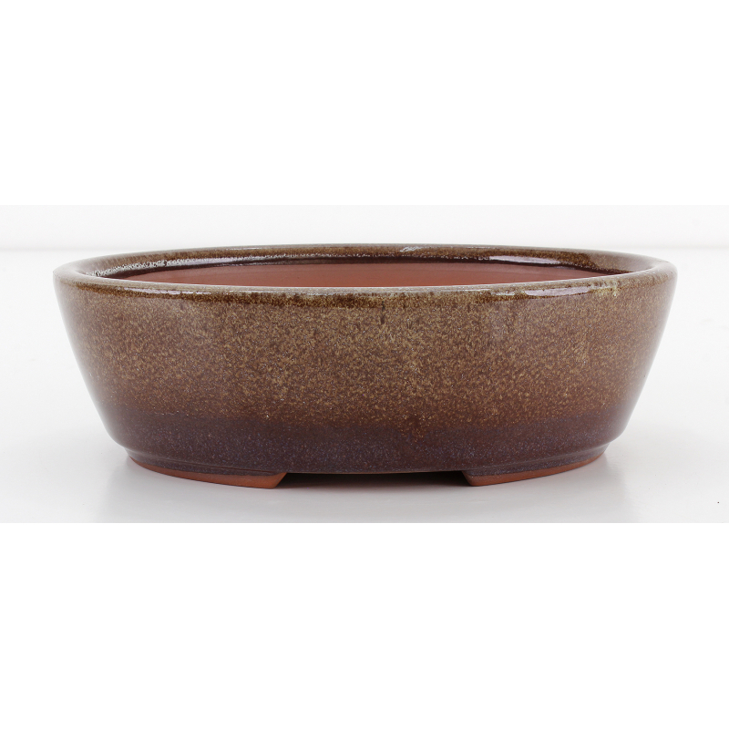 Bonsai pot CCH482 SHIWAN XENJI