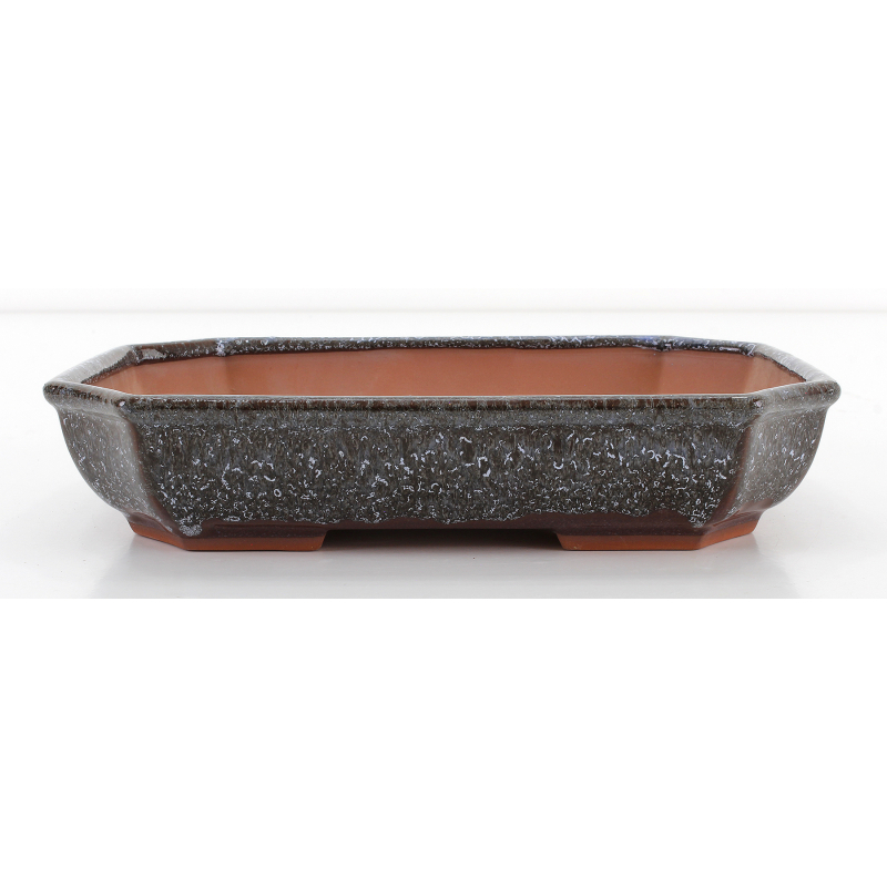 Bonsai pot CCH479 SHIWAN XENJI