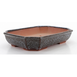 Bonsai pot CCH479 SHIWAN XENJI view 2