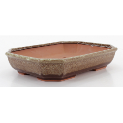 Bonsai pot CCH480 SHIWAN XENJI view 2