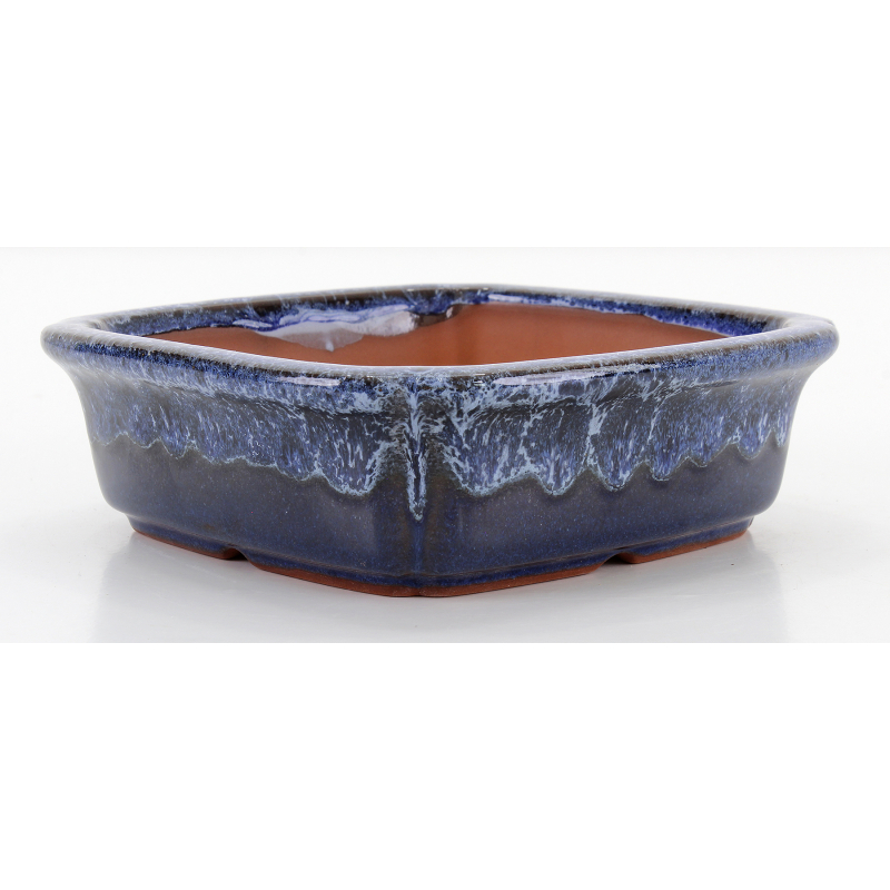 Bonsai pot CCH470 SHIWAN XENJI