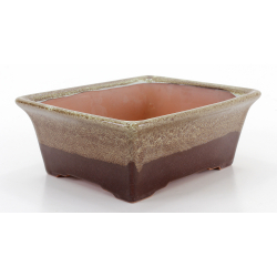 Bonsai pot CCH474 SHIWAN XENJI view 2