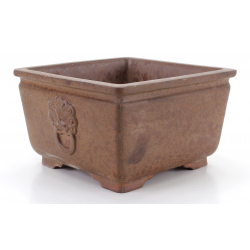 Bonsai pot CCH484 SHIWAN XENJI