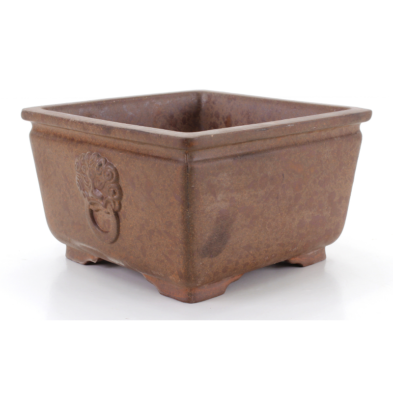 Bonsai pot CCH484 SHIWAN XENJI