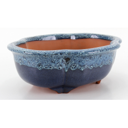 Bonsai pot CCH461 SHIWAN XENJI view 2