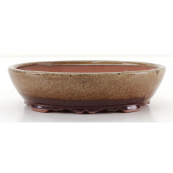 Bonsai pot CCH475 SHIWAN XENJI