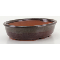 Bonsai pot CCH473 SHIWAN XENJI view 2