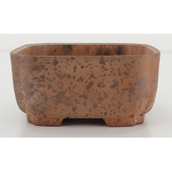 Bonsai pot CCH485 SHIWAN XENJI view 2