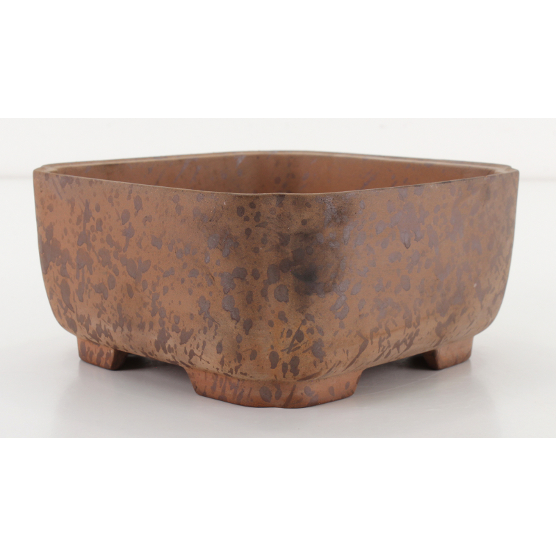 Bonsai pot CCH485 SHIWAN XENJI