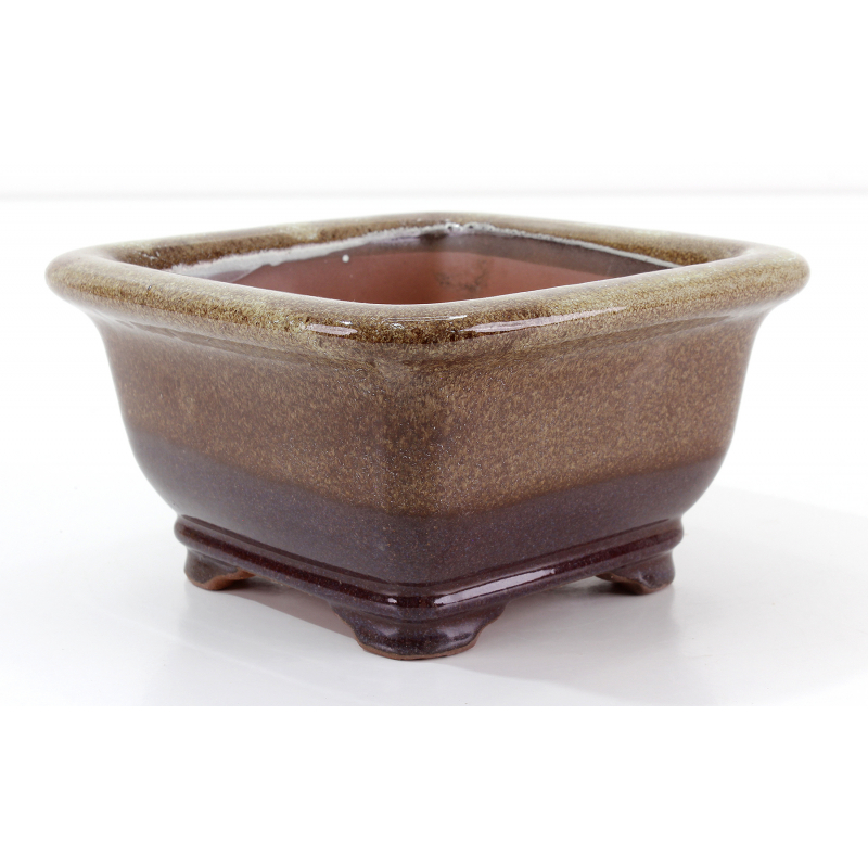 Bonsai pot CCH491 SHIWAN XENJI