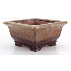 Bonsai pot CCH490 SHIWAN XENJI view 4