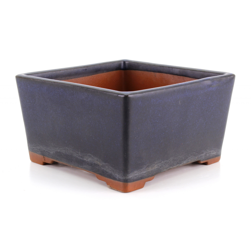 Bonsai pot JTAP1599 FUJI