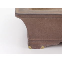 Bonsai pot JTA8029 KISEN view 4