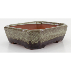 Bonsai pot CCH614 SHIWAN XENJI view 2