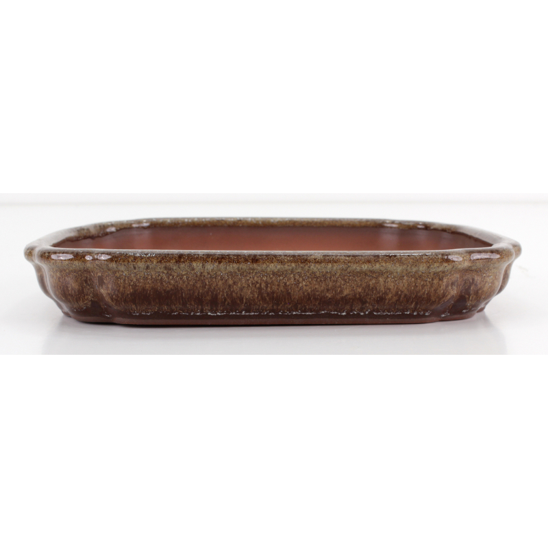 Bonsai pot CCH607 SHIWAN XENJI