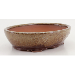 Bonsai pot CCH475 SHIWAN XENJI view 5