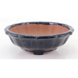 Bonsai pot CCH492 SHIWAN XENJI view 2