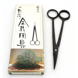 Masakuni bud scissor for pine MA5 155 mm view 3